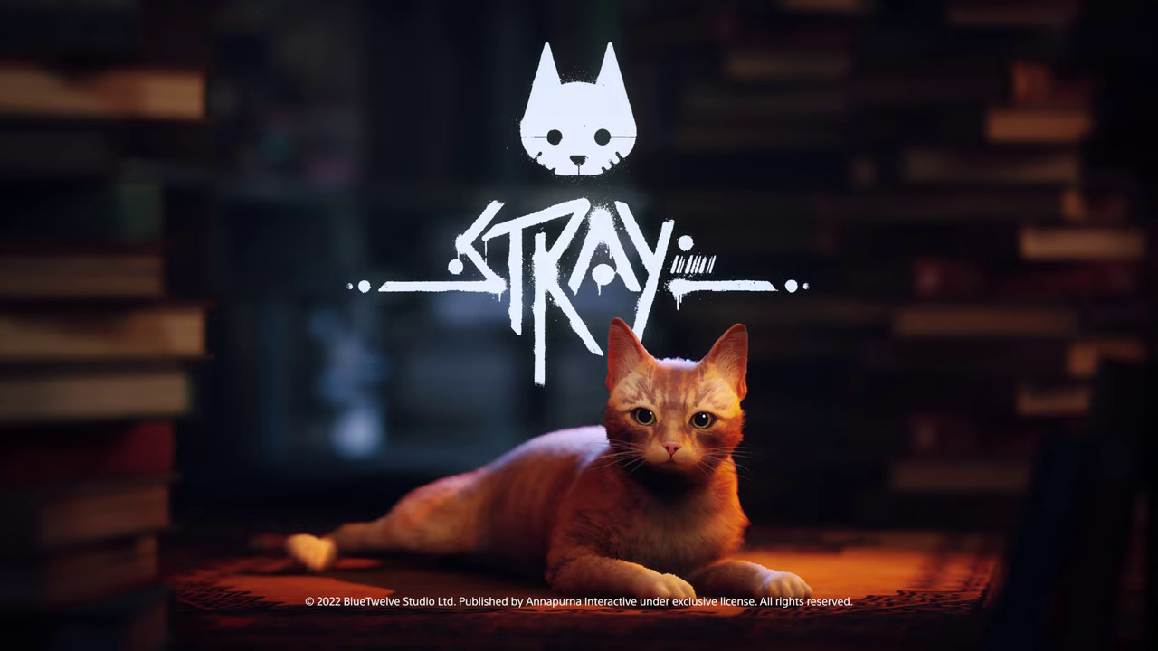 Stray - Conheça os Protagonsitas do Game